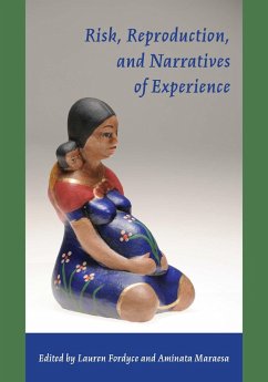 Risk, Reproduction, and Narratives of Experience (eBook, PDF)