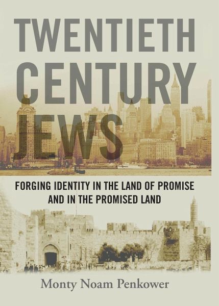 Twentieth Century Jews (eBook, PDF)