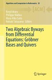Two Algebraic Byways from Differential Equations: Gröbner Bases and Quivers