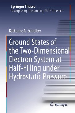 Ground States of the Two-Dimensional Electron System at Half-Filling under Hydrostatic Pressure - Schreiber, Katherine A.