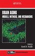 Brain Aging (eBook, ePUB) - Bild 1