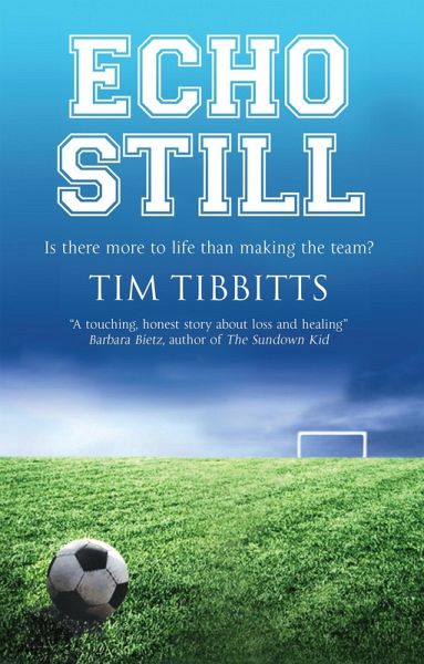 Echo Still (eBook, PDF)