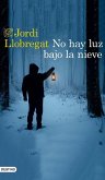 No hay luz bajo la nieve