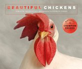 Beautiful Chickens (eBook, ePUB)