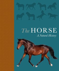 The Horse (eBook, ePUB) - Busby, Debbie; Rutland, Catrin