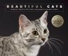 Beautiful Cats (eBook, ePUB) - Bild 1