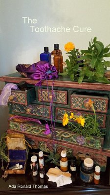 Cover The Toothache Cure (eBook, ePUB)