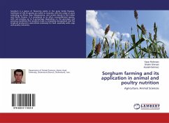 Sorghum farming and its application in animal and poultry nutrition - Rahimian, Yaser;Shirvani, Shahin;Behrooz, Azadeh