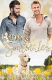 Forever Soulmates: A Steamy Gay Romance (eBook, ePUB)