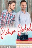 Picture Perfect: A Steamy MM Romance (eBook, ePUB)