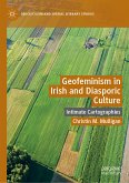 Geofeminism in Irish and Diasporic Culture (eBook, PDF)