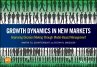 Growth Dynamics in New Markets (eBook,... - Bild 1