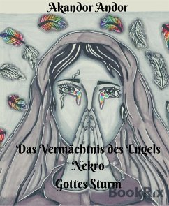 Das Vermächtnis des Engels Nekro - Gottes Sturm (eBook, ePUB) - Andor, Akandor