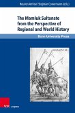 The Mamluk Sultanate from the Perspective of Regional and World History (eBook, PDF)