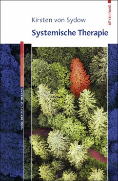 Systemische Therapie (eBook, ePUB) - Sydow, Kirsten von