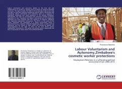 Labour Voluntarism and Autonomy,Zimbabwe's cosmetic worker protections