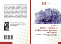 Étude géologique et gîtologique des gisements de fluorines - Hasnaoui, Youssef