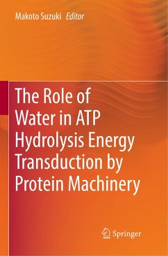 The Role of Water in ATP Hydrolysis Energy Transduction by Protein Machinery