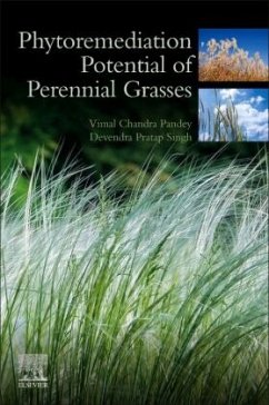 Phytoremediation Potential of Perennial Grasses - Singh, D.P.;Pandey, Vimal Chandra