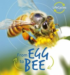 From Egg to Bee - De La Bedoyere, Camilla