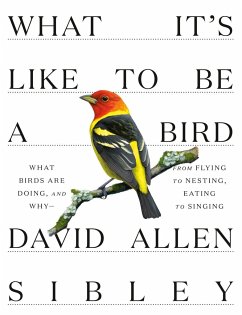 What It's Like to Be a Bird - Sibley, David Allen