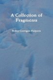 A Collection of Fragments