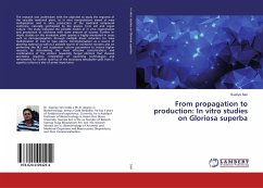 From propagation to production: In vitro studies on Gloriosa superba