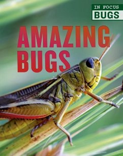 Amazing Bugs - Bridges, Melanie; De La Bedoyere, Camilla