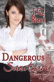 Dangerous Sanctuary: 2nd Edition