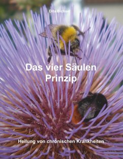 Das vier Säulen Prinzip - Bichsel, Dita