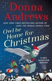 Owl Be Home for Christmas (eBook, ePUB)