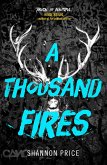 A Thousand Fires (eBook, ePUB)