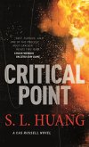 Critical Point (eBook, ePUB)