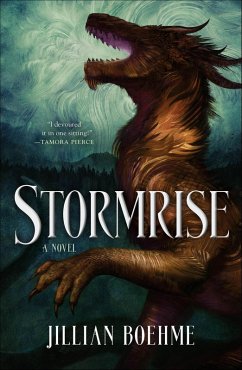 Cover Stormrise (eBook, ePUB)