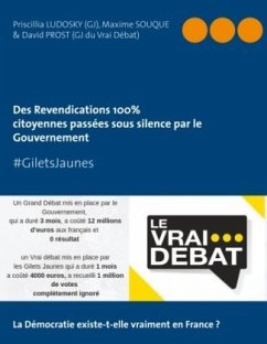 #GILETS JAUNES "Revendications 100% citoyennes passées sous silence par le Gouvernement"