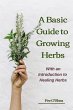 The Basic Guide To Growing Herbs - Bild 1