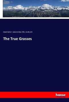 The True Grasses - Hackel, Eduard;Lamson-Scribner, F.;Southworth, Effie A.