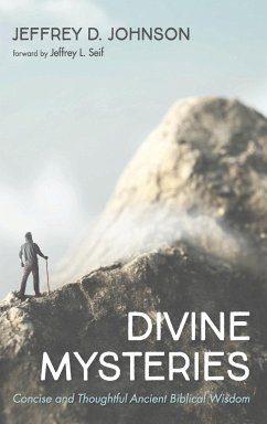 Divine Mysteries - Johnson, Jeffrey D.