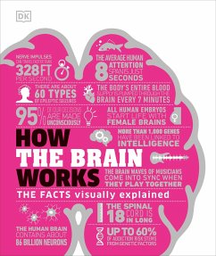 How the Brain Works - Dk