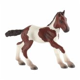Bullyland 62678 - Paint Horse Fohlen