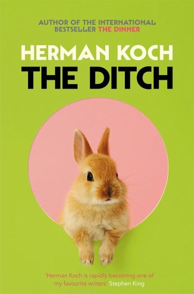 The Ditch (eBook, ePUB)