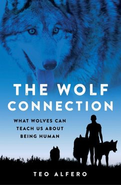 The Wolf Connection (eBook, ePUB) - Alfero, Teo