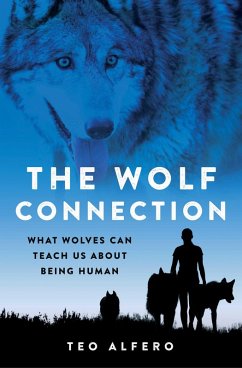 Cover The Wolf Connection (eBook, ePUB)