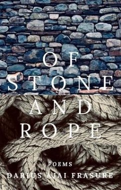 Cover of stone and rope (eBook, ePUB)