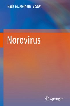 Norovirus