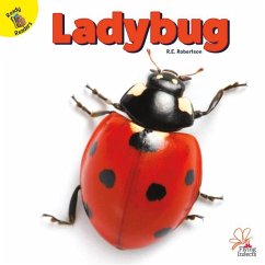 Ladybug - Robertson