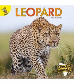 Leopard - Jackson