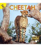 Cheetah