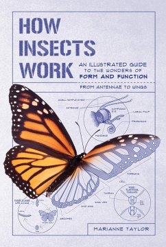 How Insects Work - Taylor, Marianne