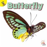 Butterfly Butterfly